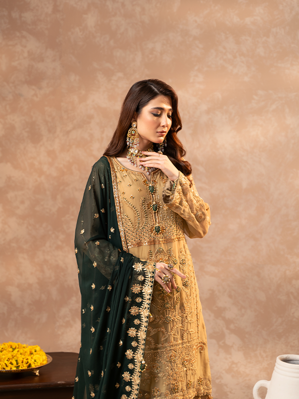 Zeenat Festive collection ZN-06