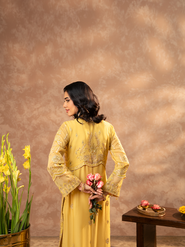 Zeenat Festive collection ZN-01