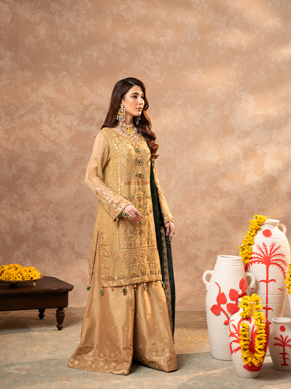 Zeenat Festive collection ZN-06