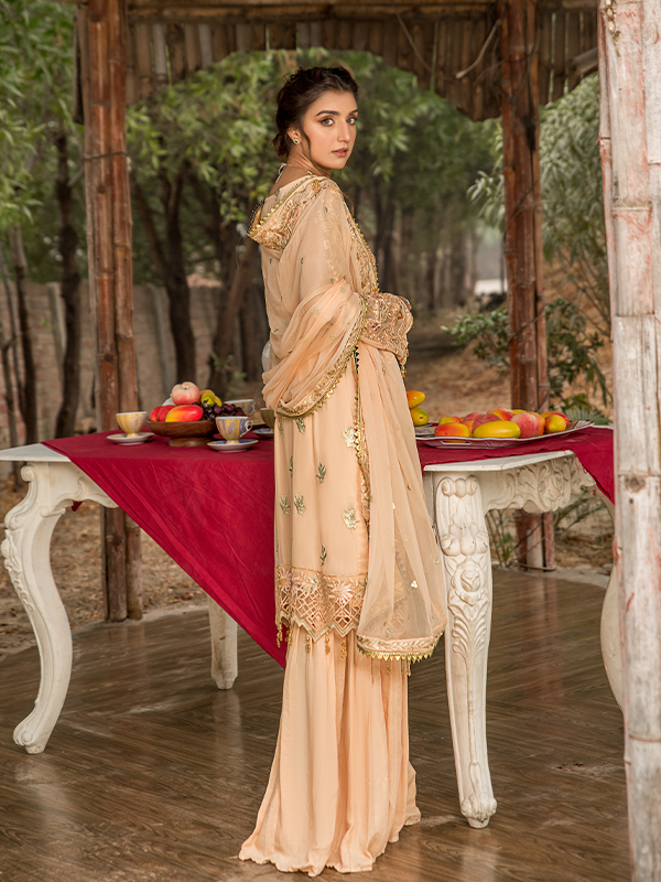 Zeenat Collection by Zebtan ZN-02